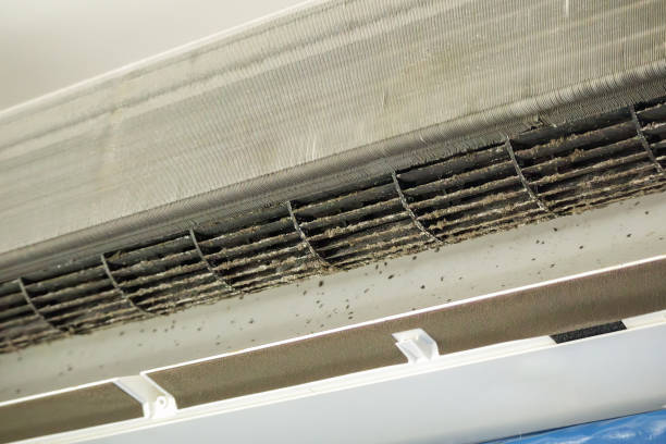 Best Local Air Duct Cleaning Services  in Wabasso, FL